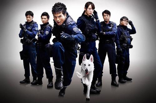 假大专如何制作